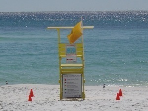 Beach Safety 3